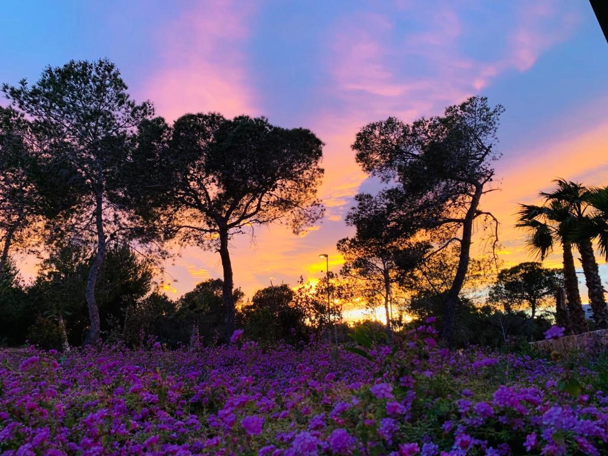 Naranjo Golf & Leisure Διαμέρισμα Dehesa de Campoamor  Εξωτερικό φωτογραφία